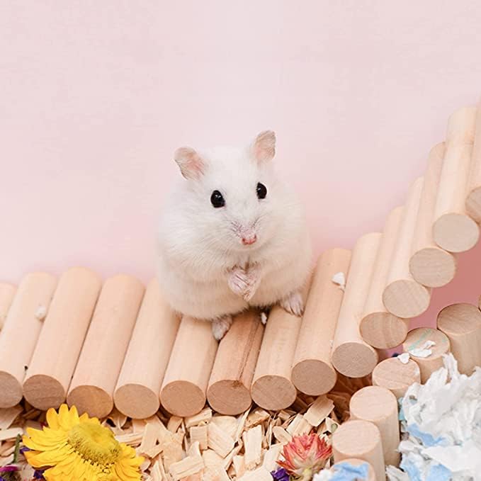 Qcwwy Haustierversteck, Meerschweinchen Holzleiter Brücke Kaninchen Versteck Haus Tunnel Nagetiere K