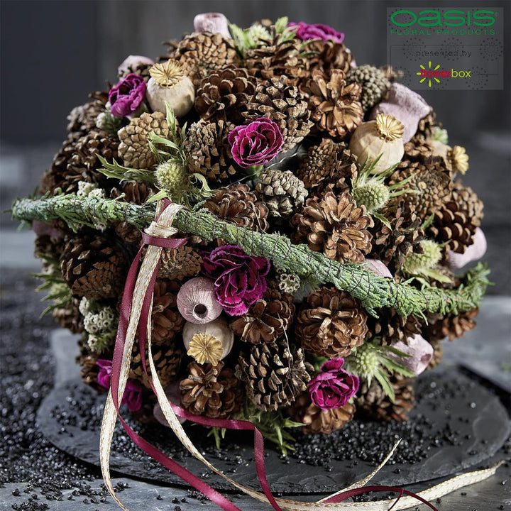 Flowerbox Oasis Steckschaum Bioline Kugel Ø16cm Steckmasse Steckschwamm