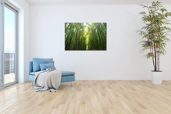 in die Höhe wachsender Bambus Format: 60x40 als Leinwandbild, Motiv fertig gerahmt auf Echtholzrahme