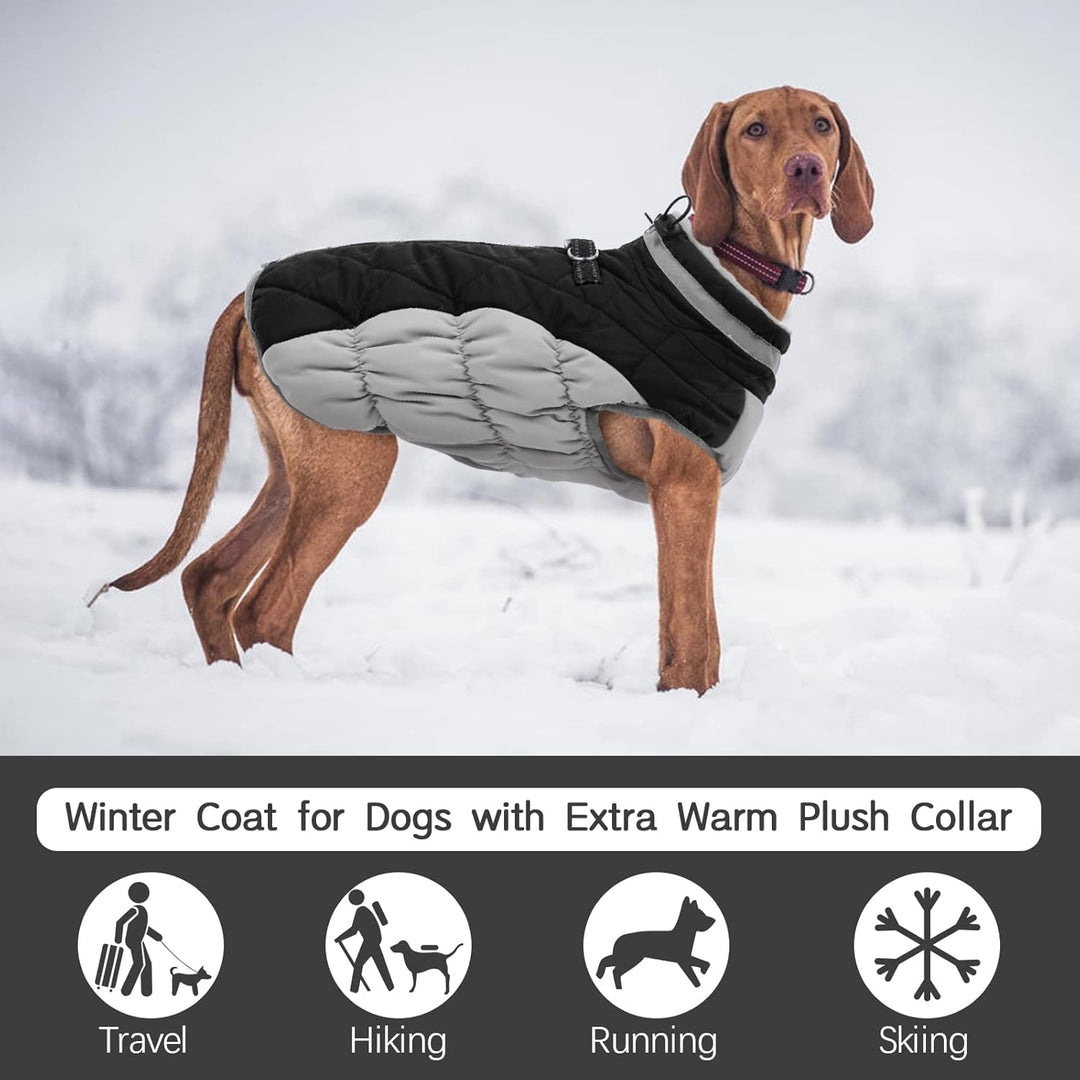 Kuoser Hundejacke Hundemantel für Mittelgrosse Hunde Winterweste Wasserdicht Wintermantel Mit Geschi