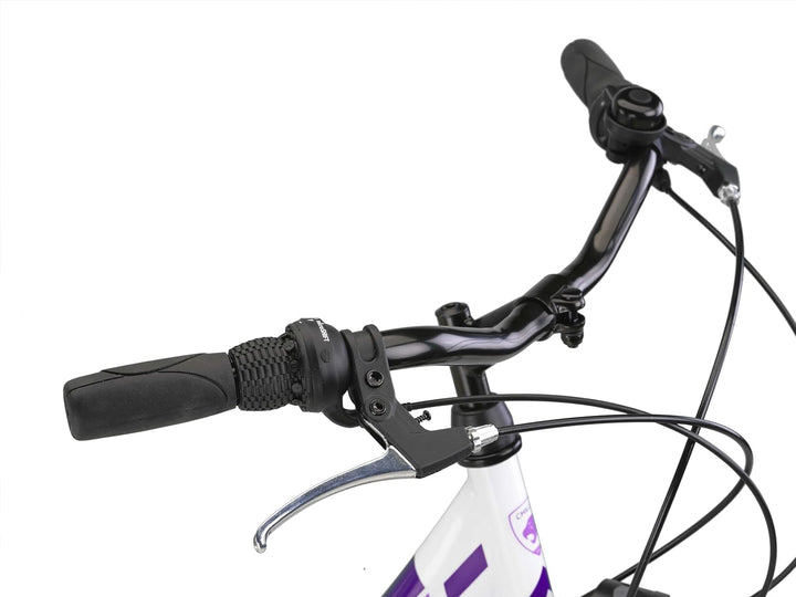 Chillaxx Bike Strada Premium City Bike in 24, 26, 28 Zoll - Fahrrad für Mädchen, Jungen, Herren und