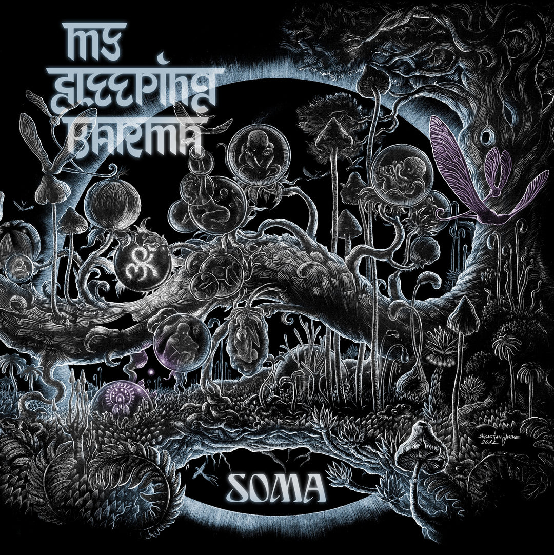 Soma (Doppel-Vinyl) [Vinyl LP], Vinyl