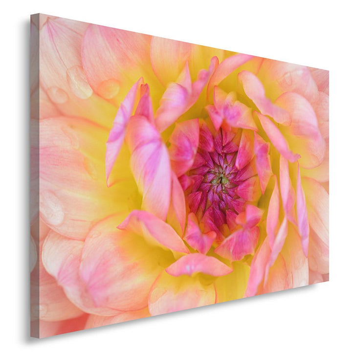 Feeby. Wandbild - 1 Teilig - 60x80 cm, Leinwand Bild Leinwandbilder Bilder Wandbilder Kunstdruck, DA