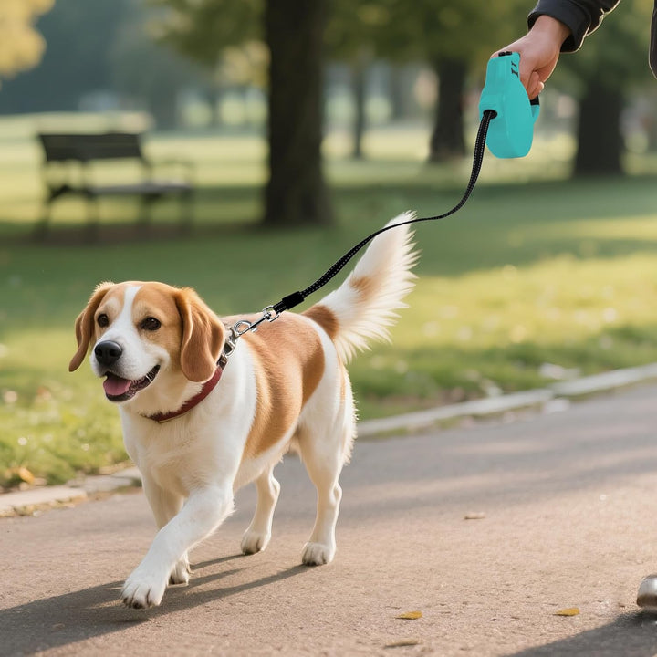 AIITLE 5 m robuste einziehbare Hundeleine für kleine Hunde, reflektierendes Nylonband, sofortige Ver