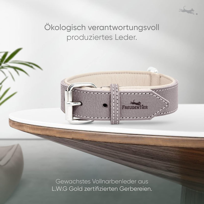 FREUDENTIER® Hundehalsband aus Leder, Made in Holland, gefüttert & super komfortabel, hochwertiges b