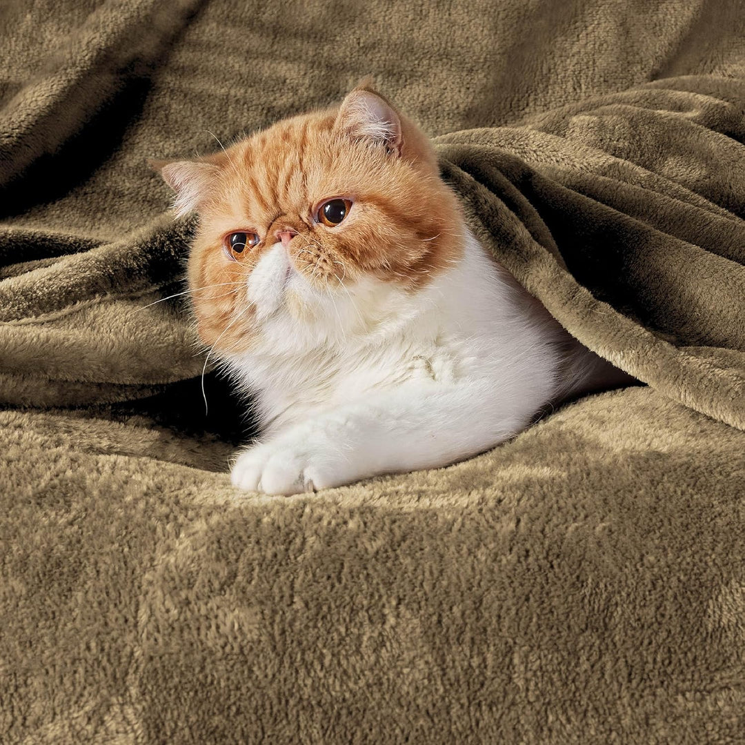 BEDSURE Kuscheldecke Flauschig Decke Fleecedecke - Wohndecke Warm Winter Weich, Sofadecke Kleine, De