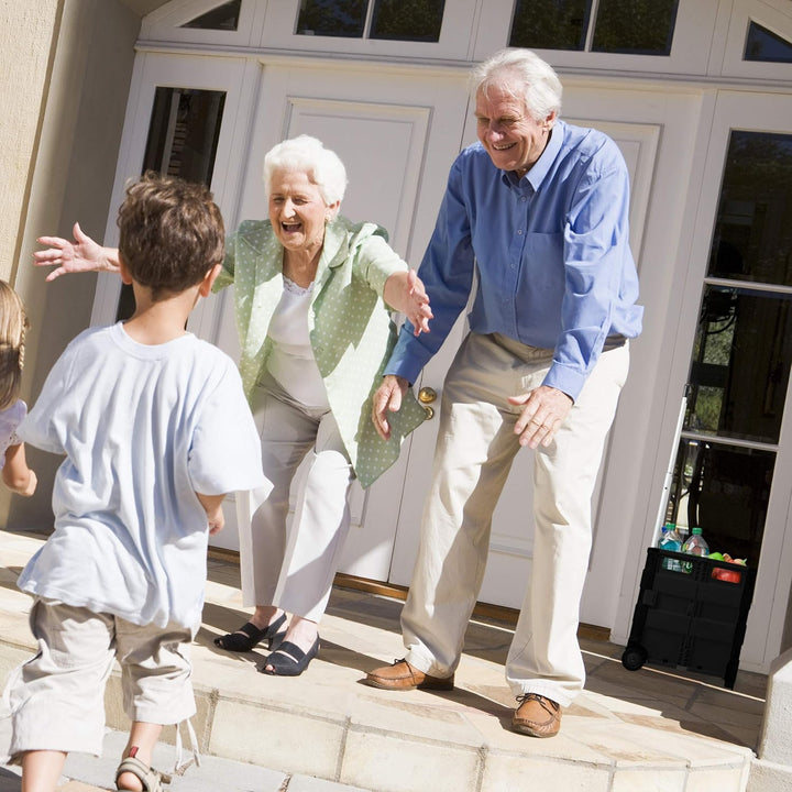 Relaxdays Einkaufstrolley klappbar, mit Teleskopgriff & Deckel, Transporttrolley, bis 35 kg, HBT 99x