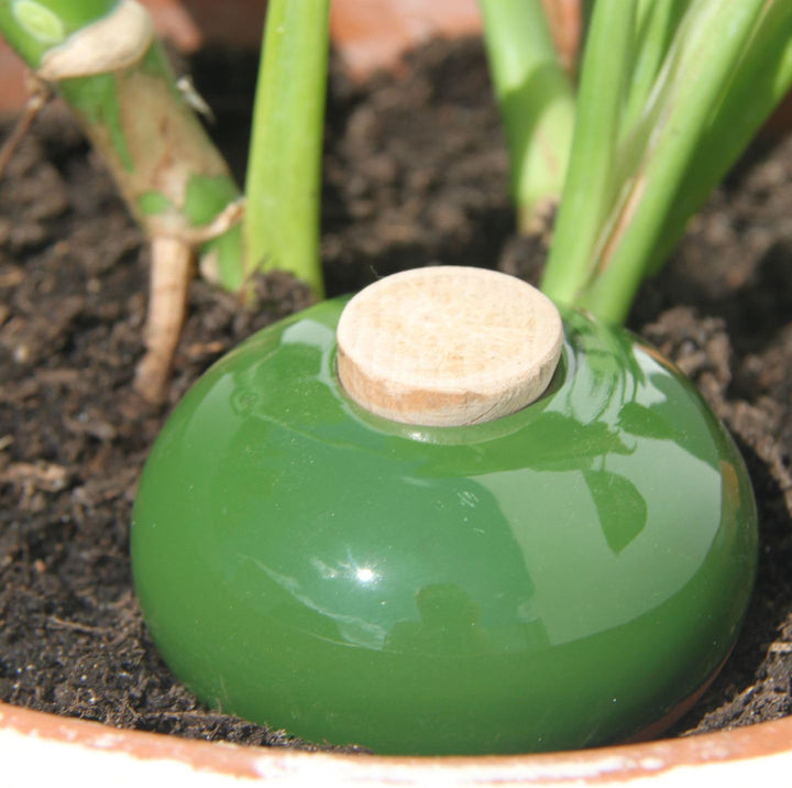 Ollas Kieselstein – natürliches Bewässerungszubehör aus Terrakotta für Topfpflanzen – 15 cl – freist
