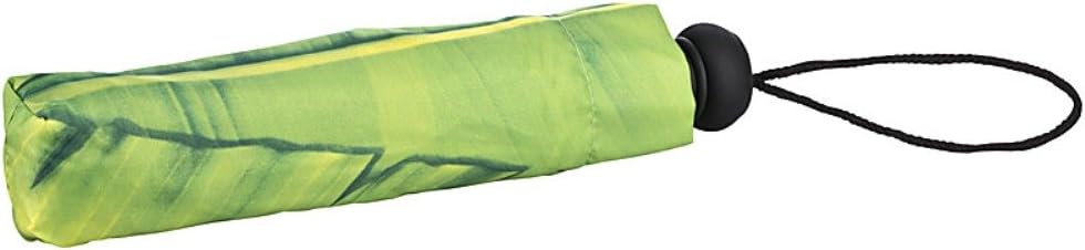 VON LILIENFELD Regenschirm Taschenschirm Palme Windfest Auf-Automatik Stabil Leicht Kompakt