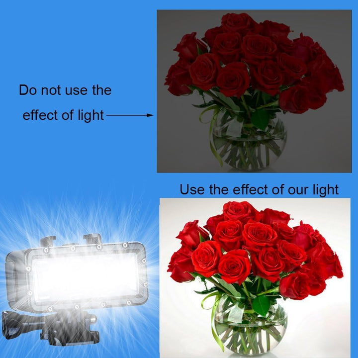 Suptig Licht Tauchen Licht High Power Dimmbare wasserdichte LED Video Licht Füllen Nachtlicht Tauche