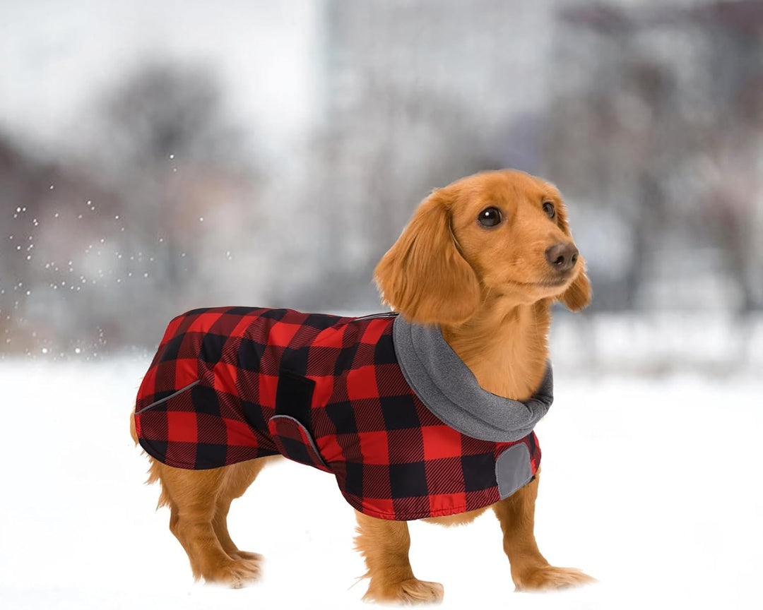MOREZI Hundejacke ist eine wasserdichte, mit Fleece gefütterte Hundewinterjacke mit verstellbarem Gü