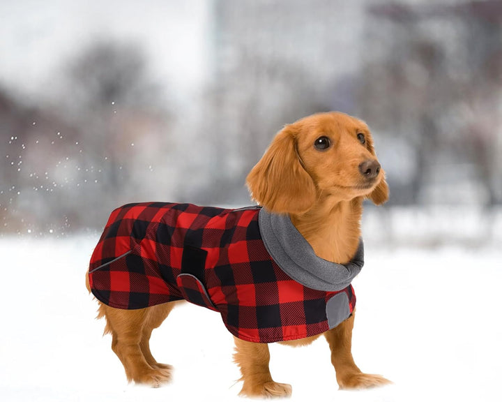 MOREZI Hundejacke ist eine wasserdichte, mit Fleece gefütterte Hundewinterjacke mit verstellbarem Gü