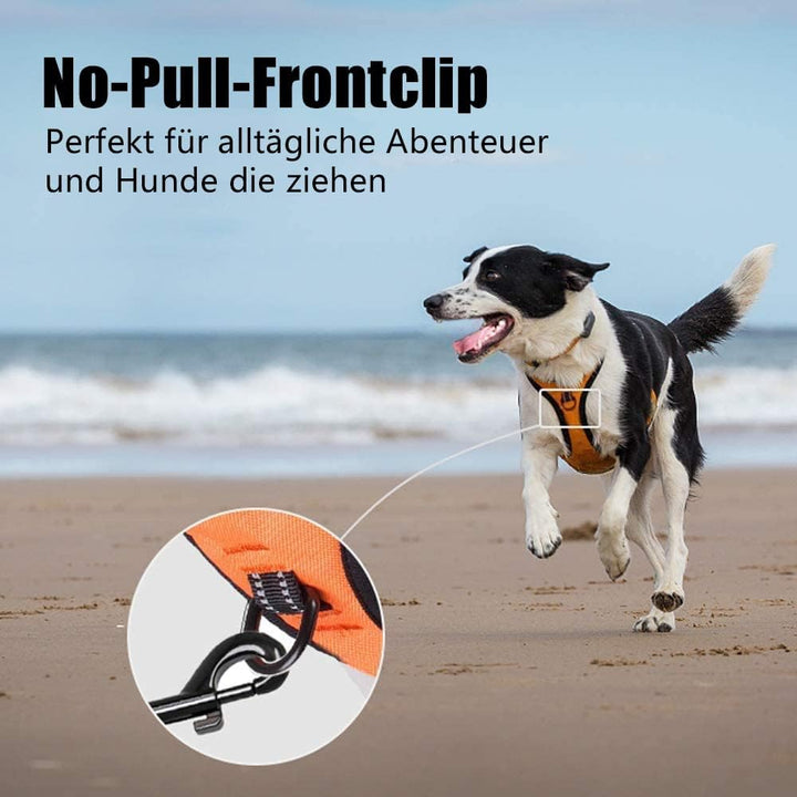 PoyPet No Pull Hundegeschirr, reflektierendes Westengeschirr mit 2 Leinenbefestigungen und einfachem