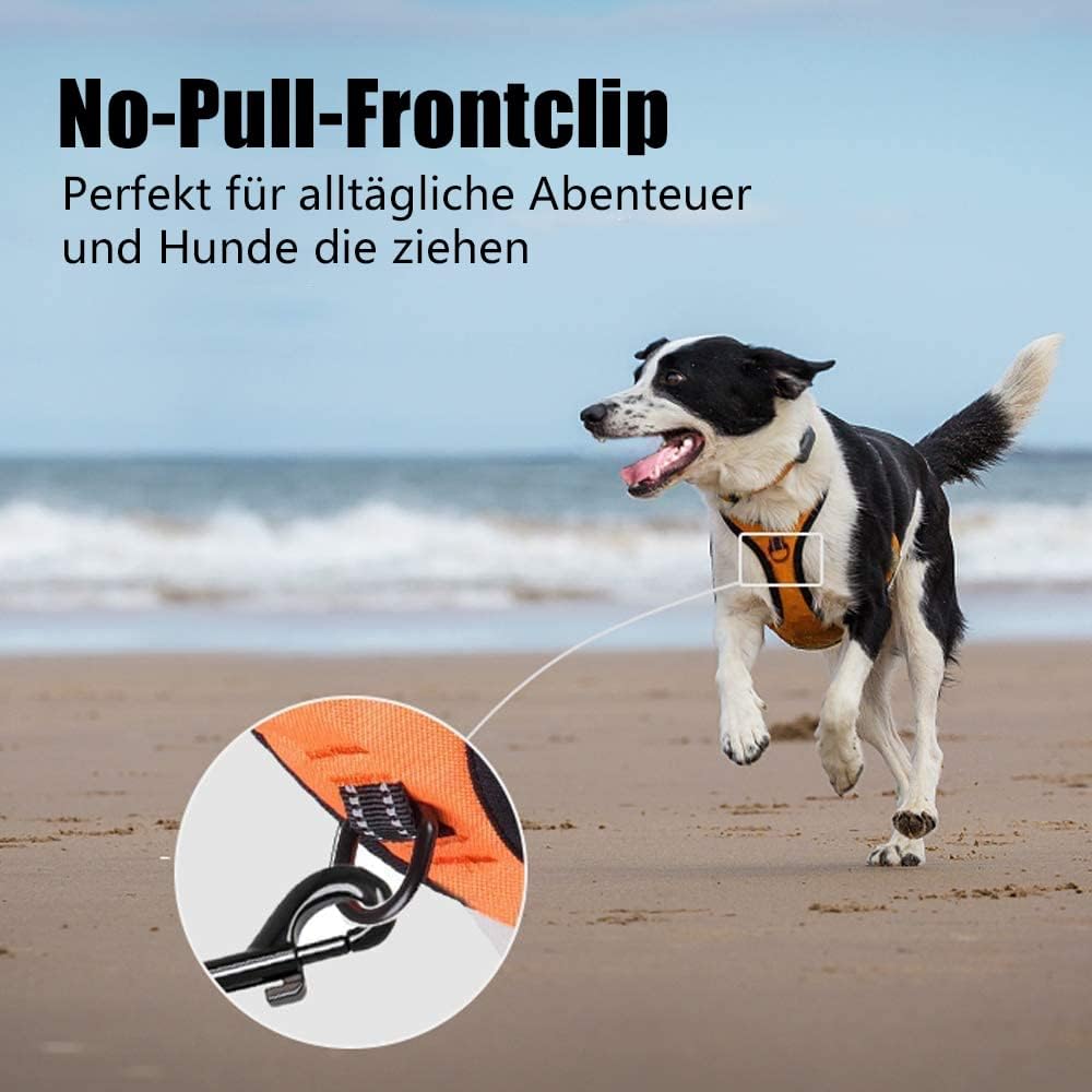 PoyPet No Pull Hundegeschirr, reflektierendes Westengeschirr mit 2 Leinenbefestigungen und einfachem