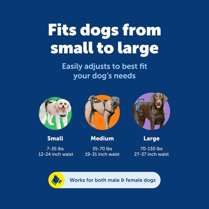 PetSafe CareLift Stützgeschirr – Ganzkörper-Hundegeschirr mit Griff und Schulterschlinge – ideal für