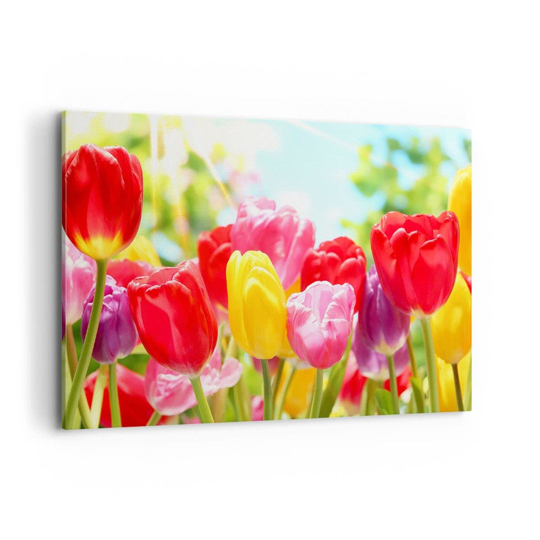 Bilder auf Leinwand 100x70cm Leinwandbild Tulpe Blume Garten Plantage Gross Wanddeko Bild Schlafzimm