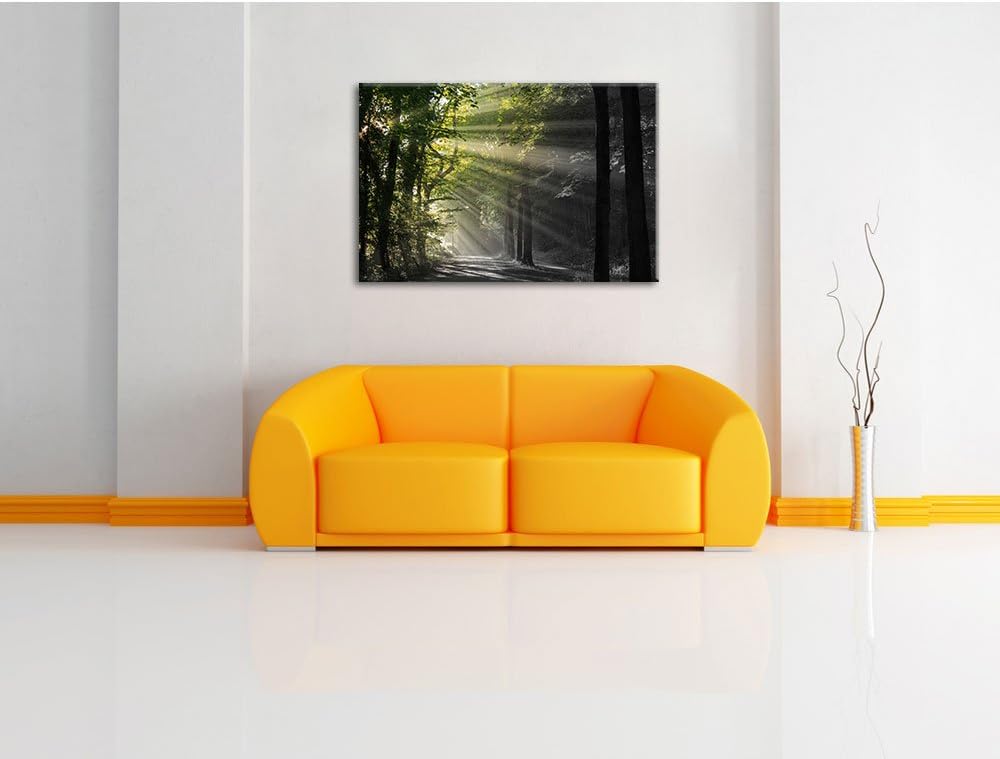 Pixxprint Waldweg im Frühling als Leinwandbild/Grösse: 100x70 cm/Wandbild/Kunstdruck/fertig bespannt