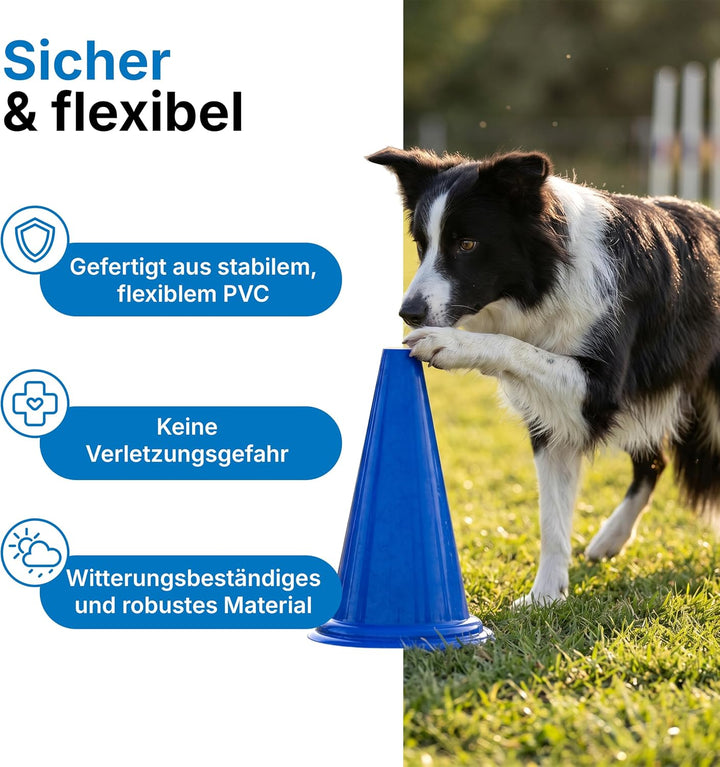 Dönges Pylonen Set 10 Stück 5 blau 5 gelb 230 mm aus PVC stapelbar ideal für Pferdesport Pferdegasse