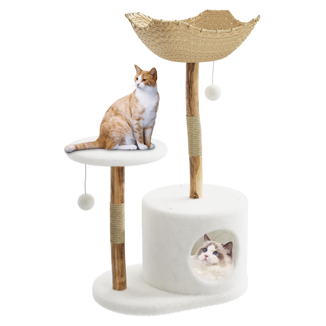 Zstar Moderner Katzenbaum aus Massivholz und Rattan – Robuster Kratzbaum mit geflochtenem Korb, Höhl