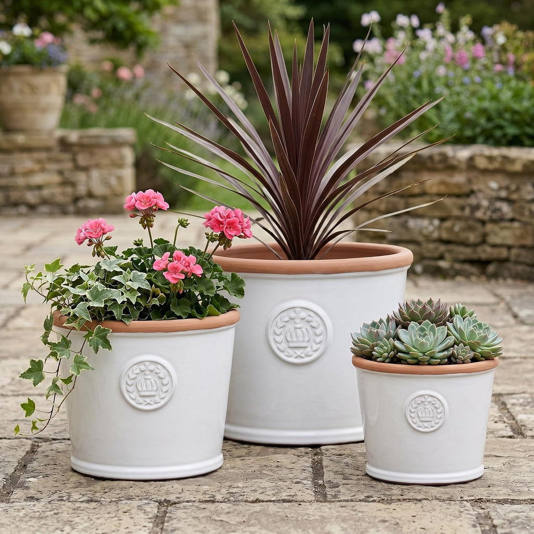 Teramico Pflanzgefäss Blumentopf Übertopf Krone Steinzeug glasiert Weiss Grau 34cm 45cm absolut Fros