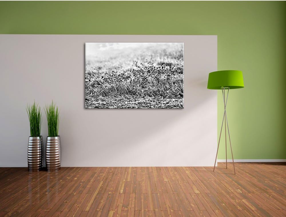 Pixxprint Lila Distel Feld im Retro Look als Leinwandbild | Grösse: 100x70 cm | Wandbild | Kunstdruc