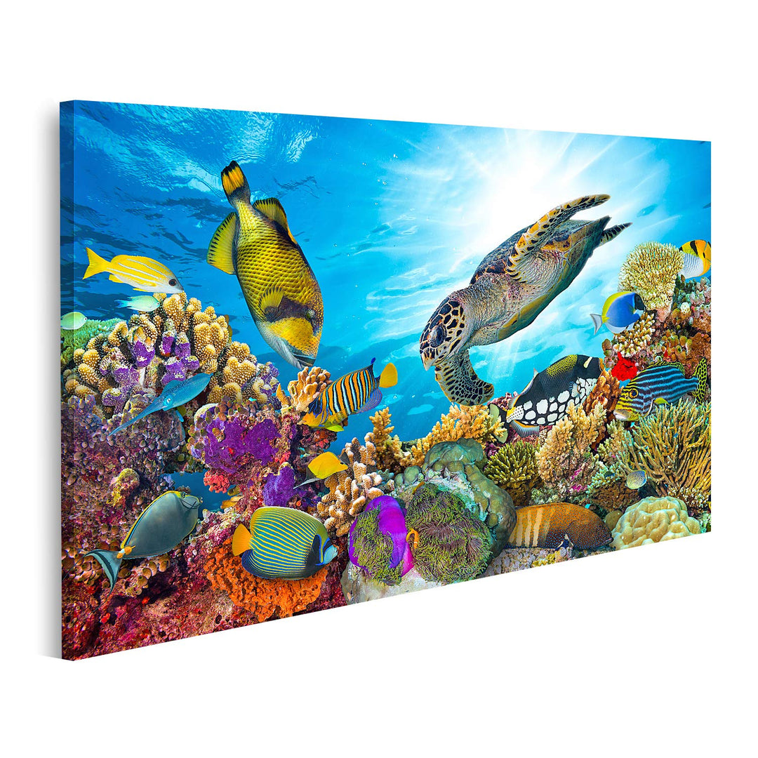 islandburner Bild auf Leinwand Buntes Korallenriff Viele Fische Meeresschildkröte Bilder Wandbilder