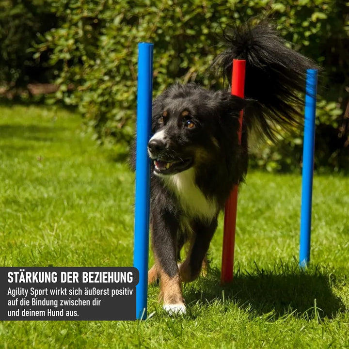 NATIV LEMODO Agility Set Hunde | Hundetraining mit Agility Hürde, Hundetunnel und Sprungring | Einfa