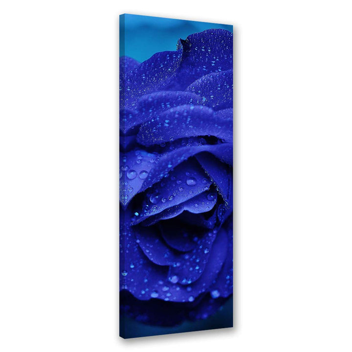 Feeby Bild auf Leinwand Natur Kunstdruck modern Rose Blau 30x90 cm Leinwandbild 30x90 cm Blau_a, Lei