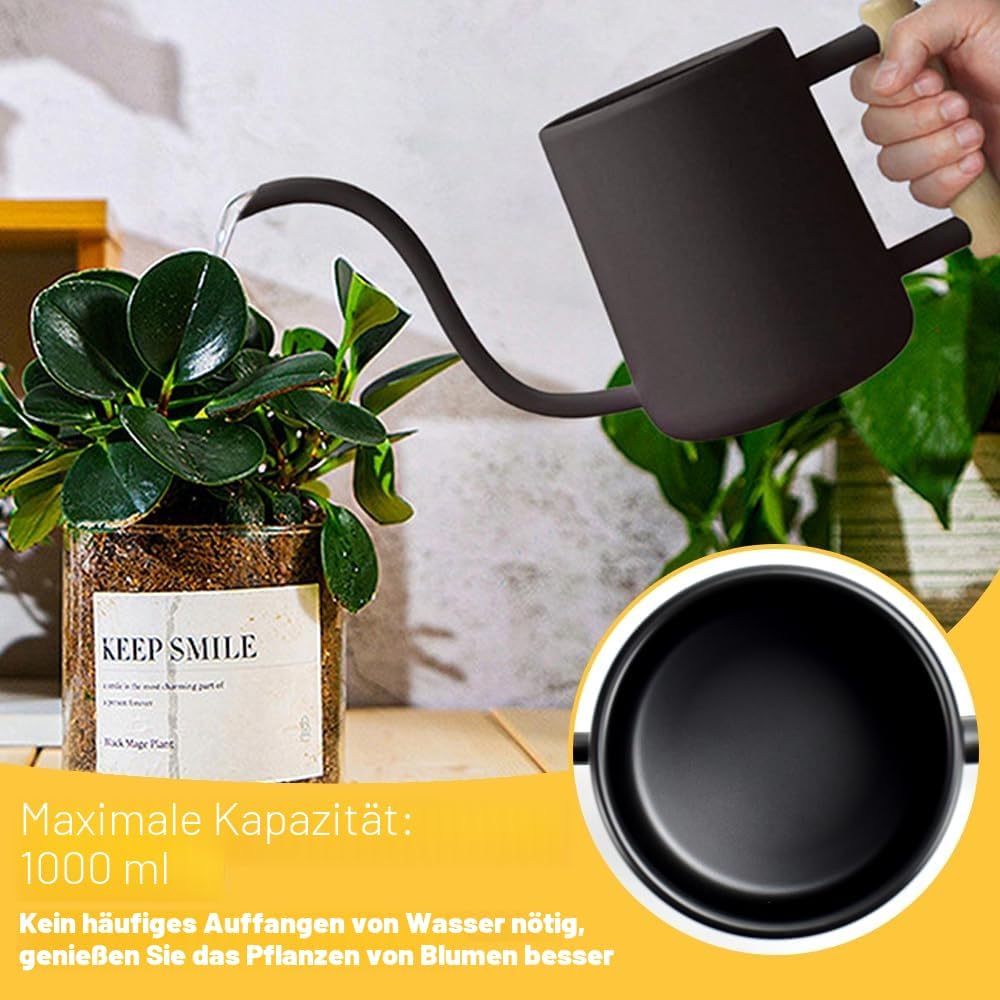 LPAMABA 1L Indoor Giesskanne Edelstahl Giesskanne Klein GiesskanneGiesskanne für Zimmerpflanzen Sukk