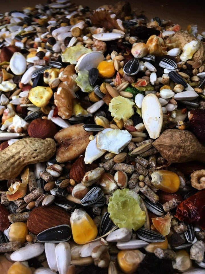 cura-canin 5 kg Premium Eichhörnchen Super - Food Eichhörnchenfutter der Spitzenklasse Streufutter F