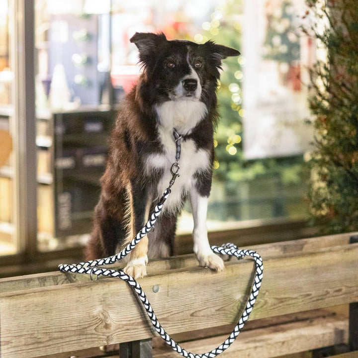 TRIXIE Hundeleine Cavo V-Leine L–XL, 2,00 m ø 18 mm in schwarz - verstellbare Leine mit reflektieren