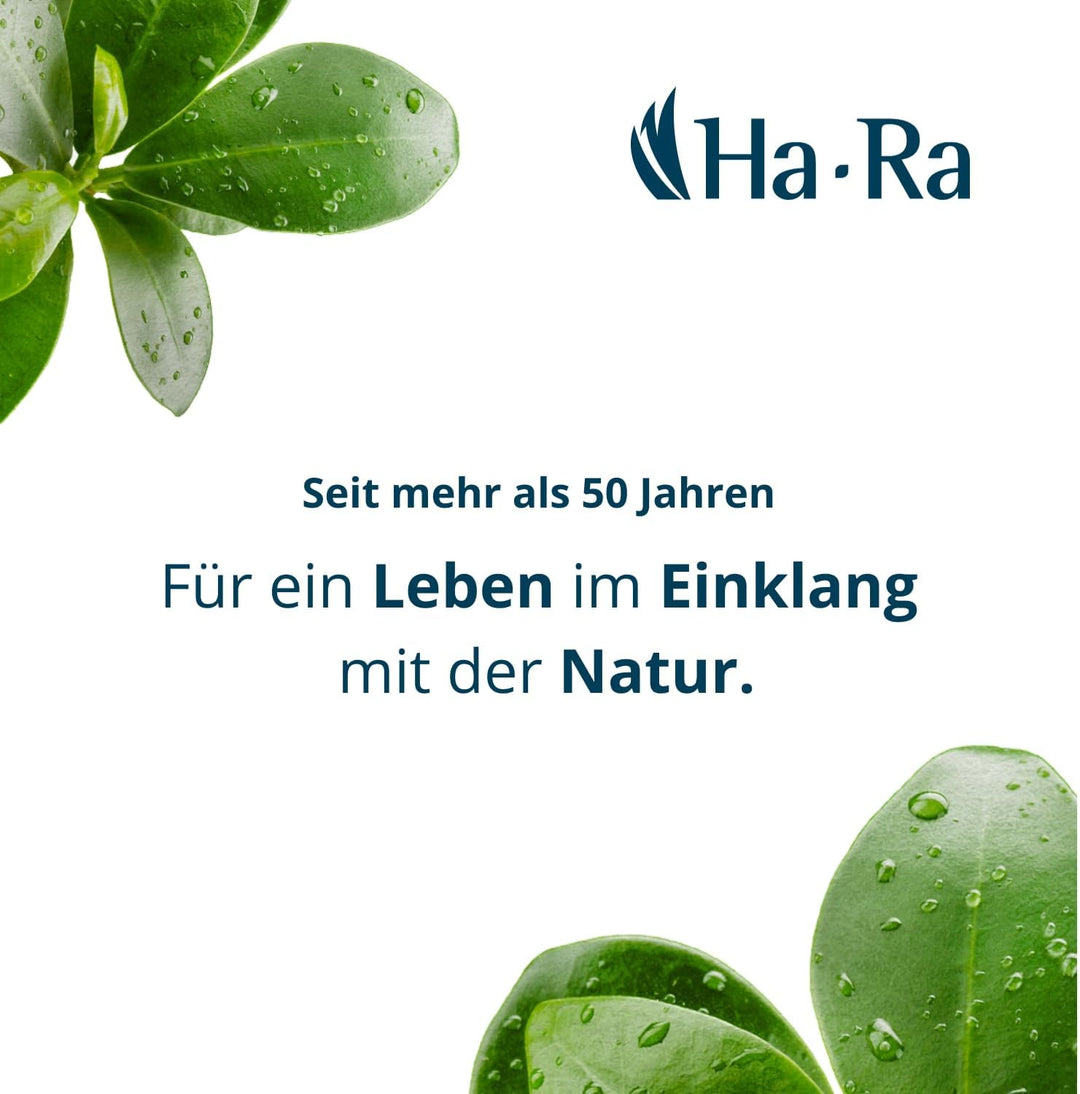 Ha-Ra Hammer-Tuch 2er-Spar-Set 67x50cm I Microfaser Putztuch saugstark I Trocknet streifenfrei I Feu