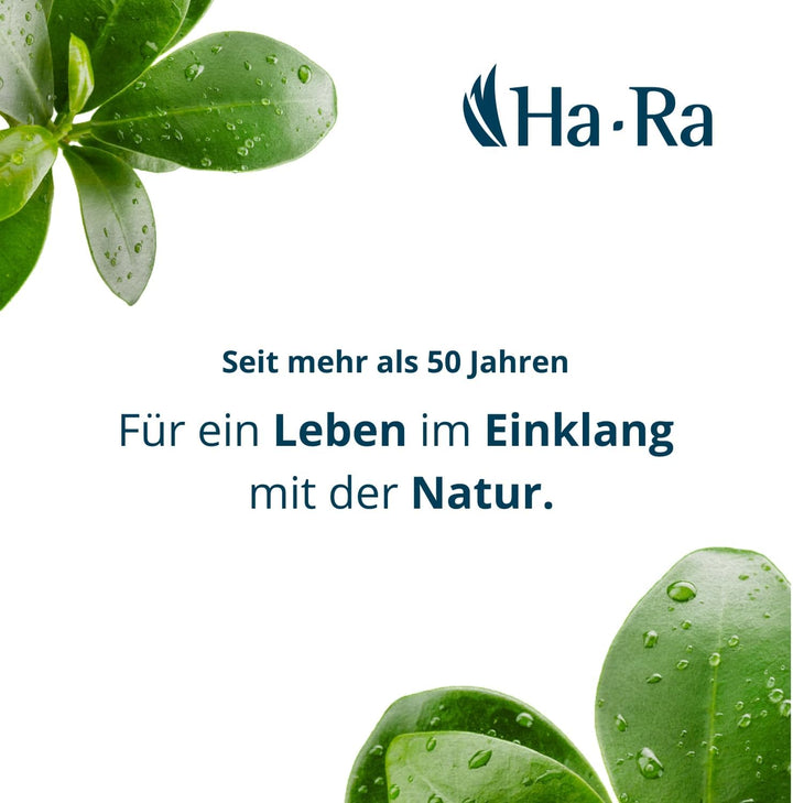 Ha-Ra Hammer-Tuch 2er-Spar-Set 67x50cm I Microfaser Putztuch saugstark I Trocknet streifenfrei I Feu
