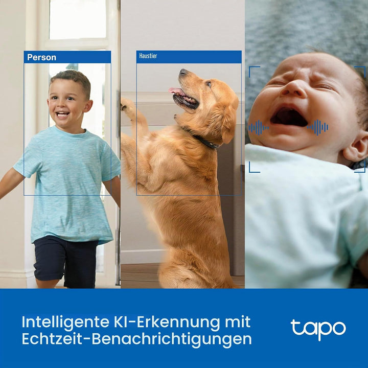 Tapo C250 4K Überwachungskamera Innen 360°, Lokale KI-Erkennung &amp; Bewegungsverfolgung mit Zoom, IR-N