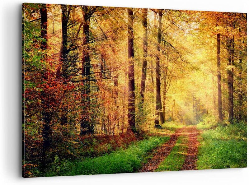 Bilder auf Leinwand 100x70cm Leinwandbild mit Rahmen Wald Baum Natur Gross Wanddeko Bild Schlafzimme