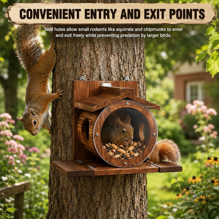 Eichhörnchen Futterhaus, Futterhaus Eichhörnchen Wetterfest, 2 Eingänge &amp; Sitzplattformen, Eichhörnc