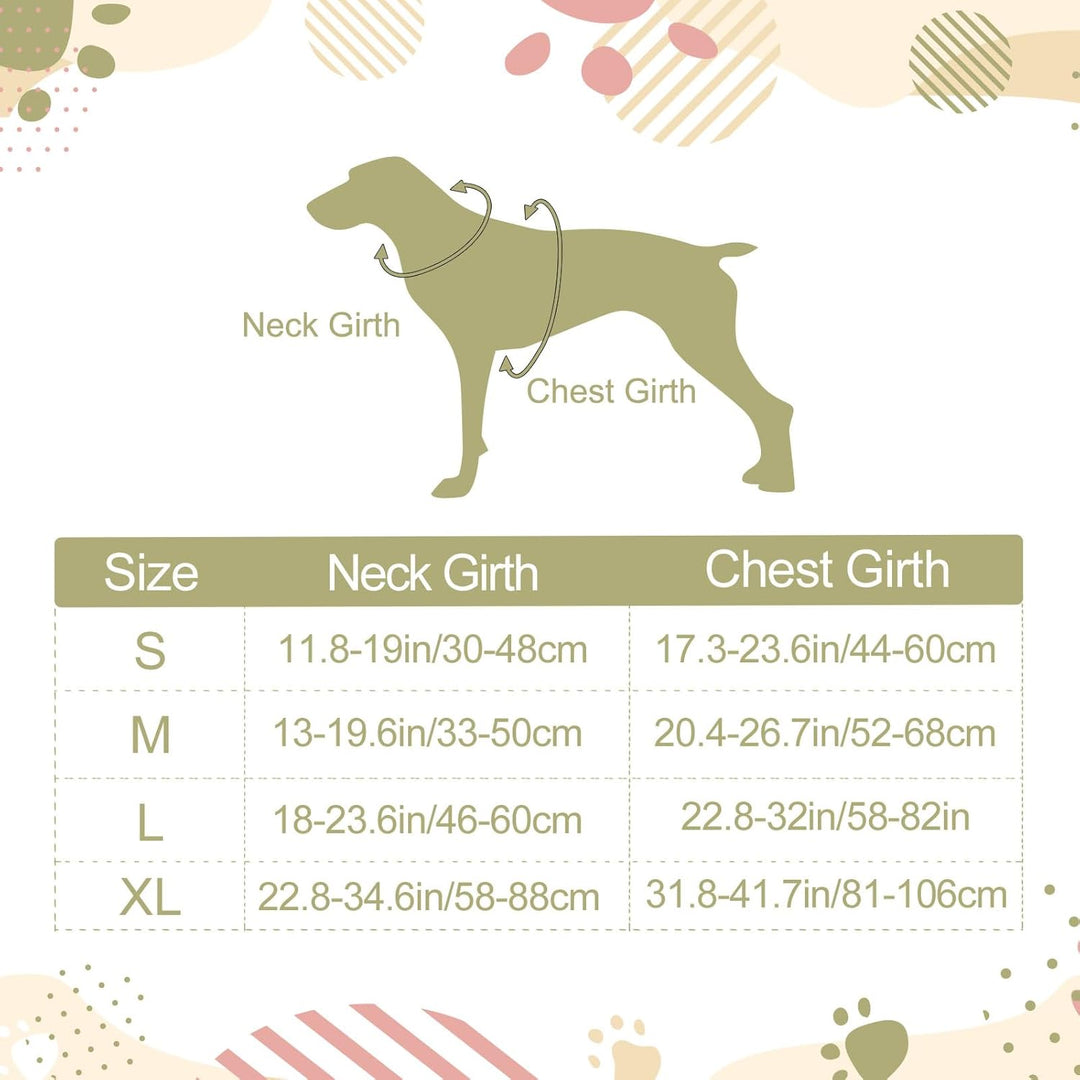 Individuelle Hundegeschir mit Foto und Namen des Tieres, Personalisierte Verstellbare Reflektierende