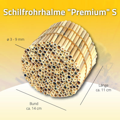 Hiss Reet BeeCasa by Schilfrohrhalme Premium | Geschälter Bund | Insektenhotel & Bienenhotel Füllmat