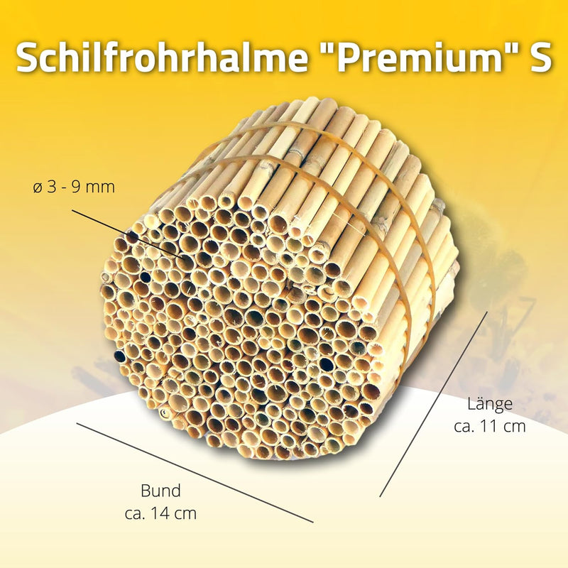 Hiss Reet BeeCasa by Schilfrohrhalme Premium | Geschälter Bund | Insektenhotel & Bienenhotel Füllmat
