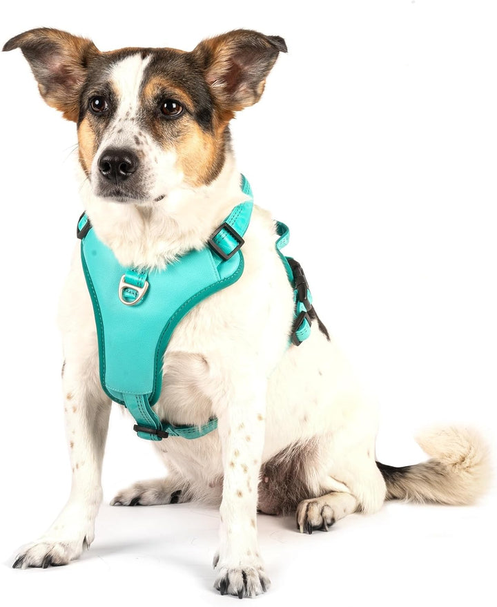 Max & Molly Sport Hundegeschirr Sehr Grosse Hunde mit Gotcha! Smart ID Sicherheitsanhänger, Matrix 2