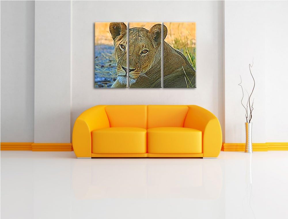 schöne Löwin im Wildgras NewArt 3-Teiler Leinwandbild 120x80 Bild auf Leinwand, XXL riesige Bilder f