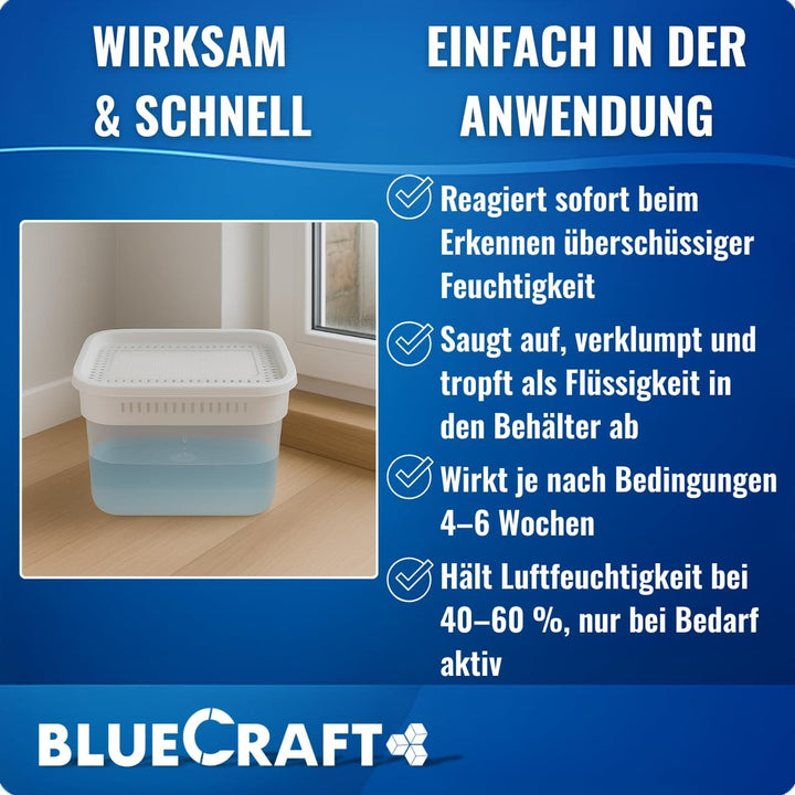 Bluecraft - 10x 1kg Luft-Entfeuchter Granulat Nachfüllpack im Vliesbeutel Raumentfeuchter ohne Strom