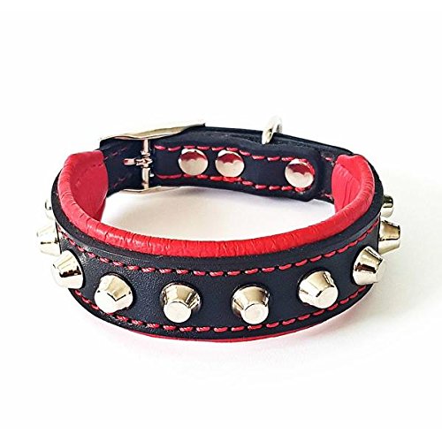 Bestia™ "Rocky Echtleder Hundehalsband mit Stumpfnieten. 100% Leder. Weich gepolstert. TOP Qualität!