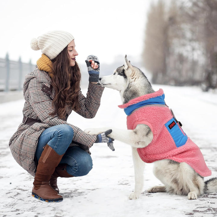 FEimaX Warme Hundemantel Winddichte Haustier Winter Fleece Hundejacke Winterweste mit D-Ring Hundekl