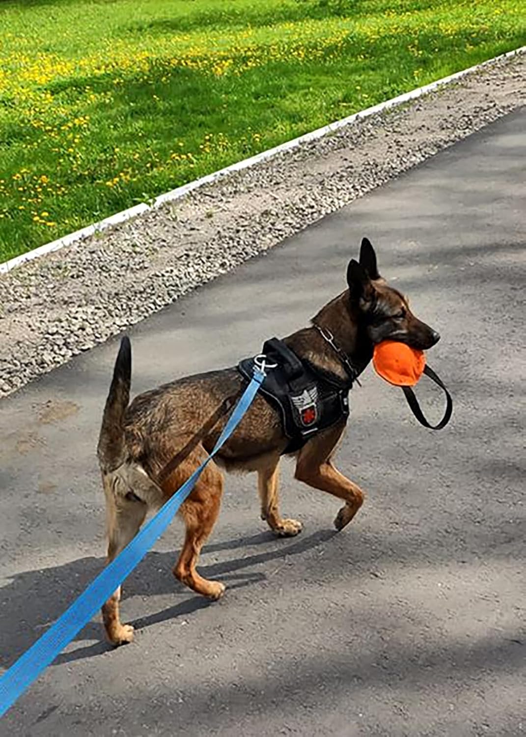 Dingo Gear Beisswurst,Berta'' mit 1 Griff #14cm Dicke 16 cm aus französischem Material (Nylcott) für
