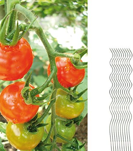 BigDean 10 Tomatenspiralstäbe 110cm voll verzinkt Tomatenstab Tomaten Ranke Pflanzstab Stahl Profi Q
