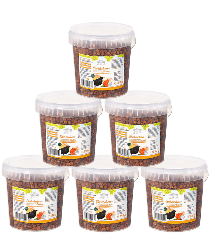 Dehner Premium Natura Wildvogelfutter, Eberschenbeeren, 6 x 350 g (2.1 kg) Eberschenbeeren 6 x 350 g