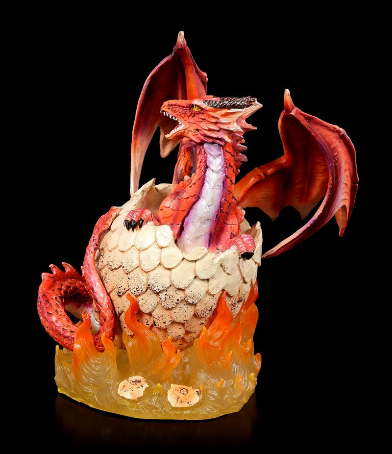 Drachen Figur Feuerdrache schlüpft aus Ei 20,5 cm | Fantasy Deko Statue