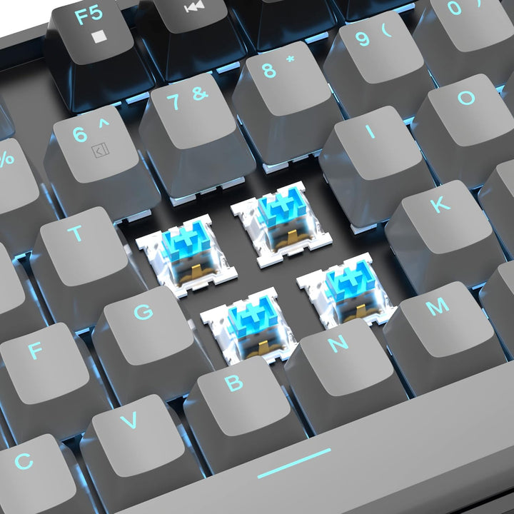 MageGee 75% Mechanische Gaming-Tastatur mit blauem Schalter, LED-Tastatur mit blauer Hintergrundbele