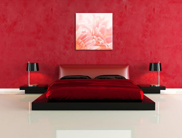 Pixxprint Gerbera-Blume in Pastelltönen, Format: 70x70 auf Leinwand, 70x70